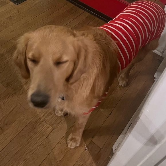 Meet your Posher, Gina - Picture 3 of 16